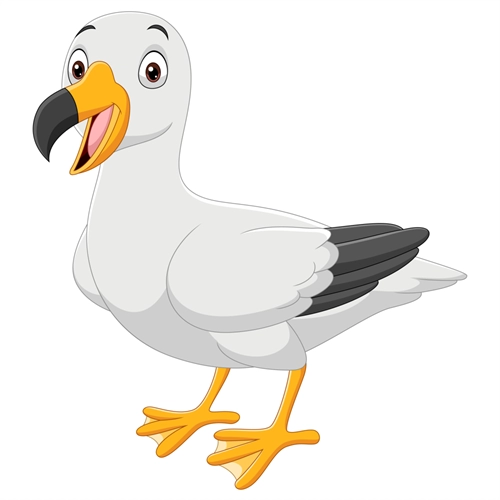 Under the Sea Theme Seagull Transparent Sticker